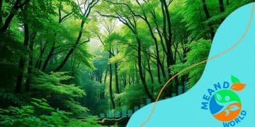 How to incorporate sustainability into your investment approach