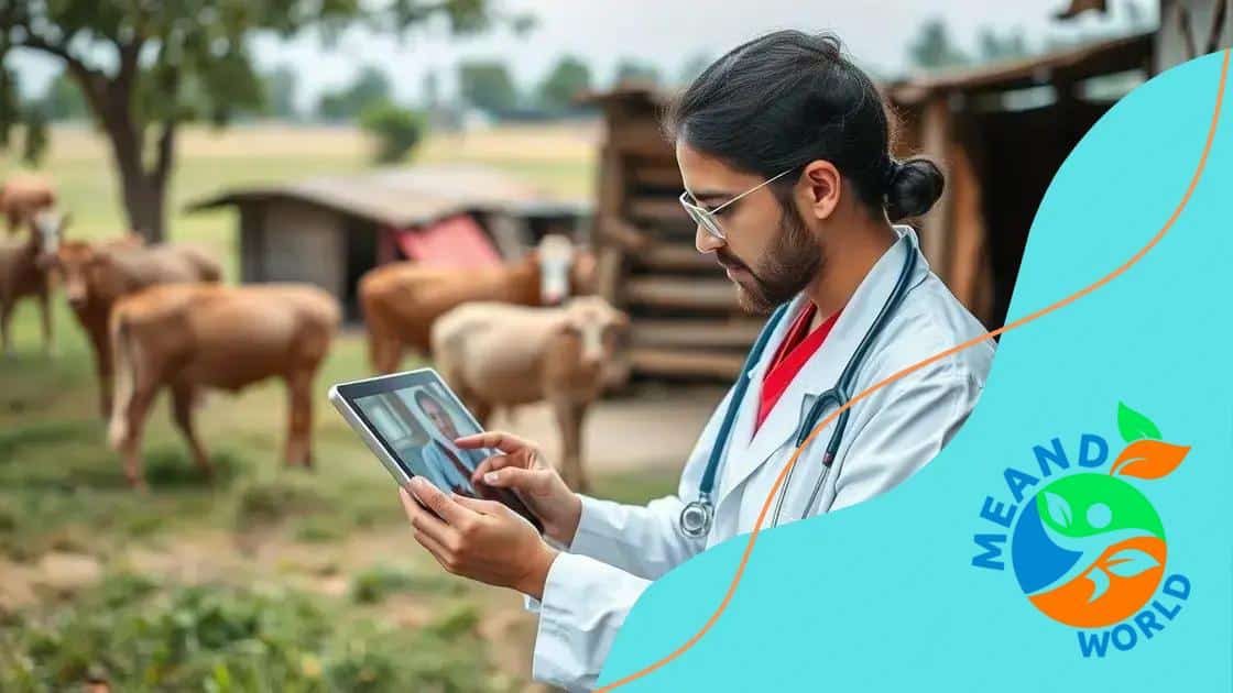 The role of technology in boosting rural healthcare